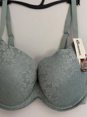 No Boundaries New! Light Sage Green Lace Push-Up Bra size 40DD